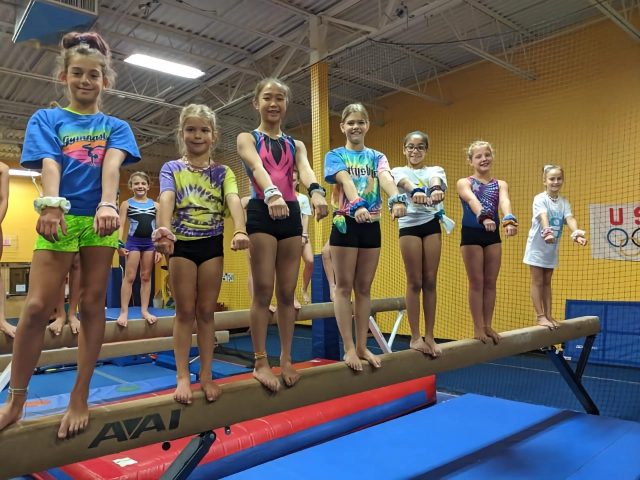A lineup of smiling young gymnasts standing on a balance beam in a brightly colored gym.